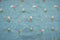 EMBROIDERY MUL COTTON - Sky Blue Dream