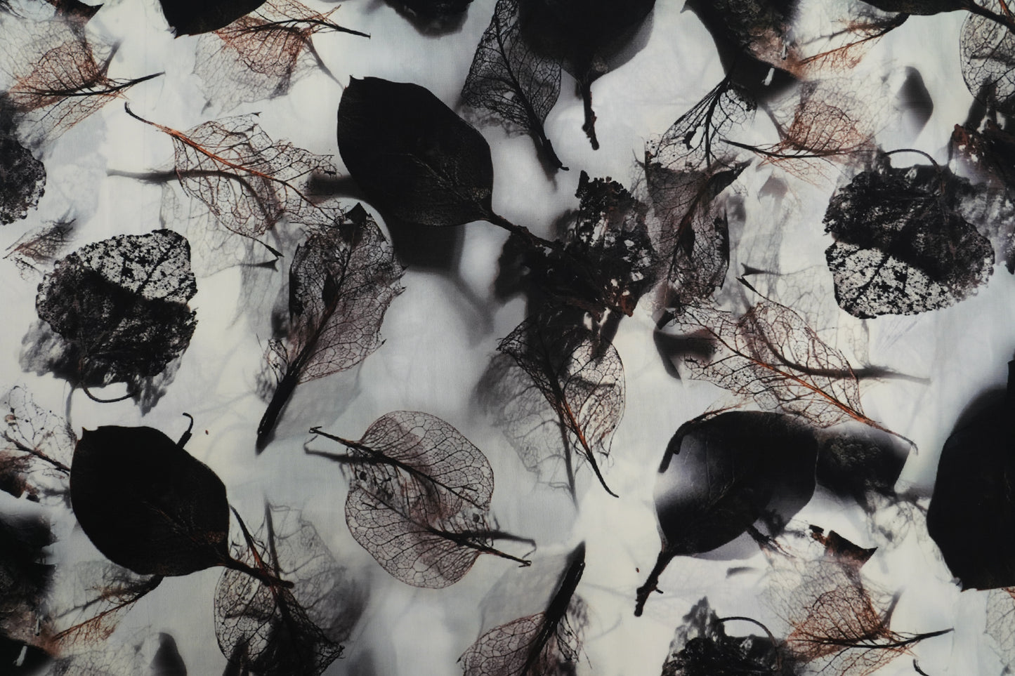 SOFT SILK TOUCH - Soft ivory base with charcoal black