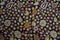 KALAMKARI COTTON - Jet black base